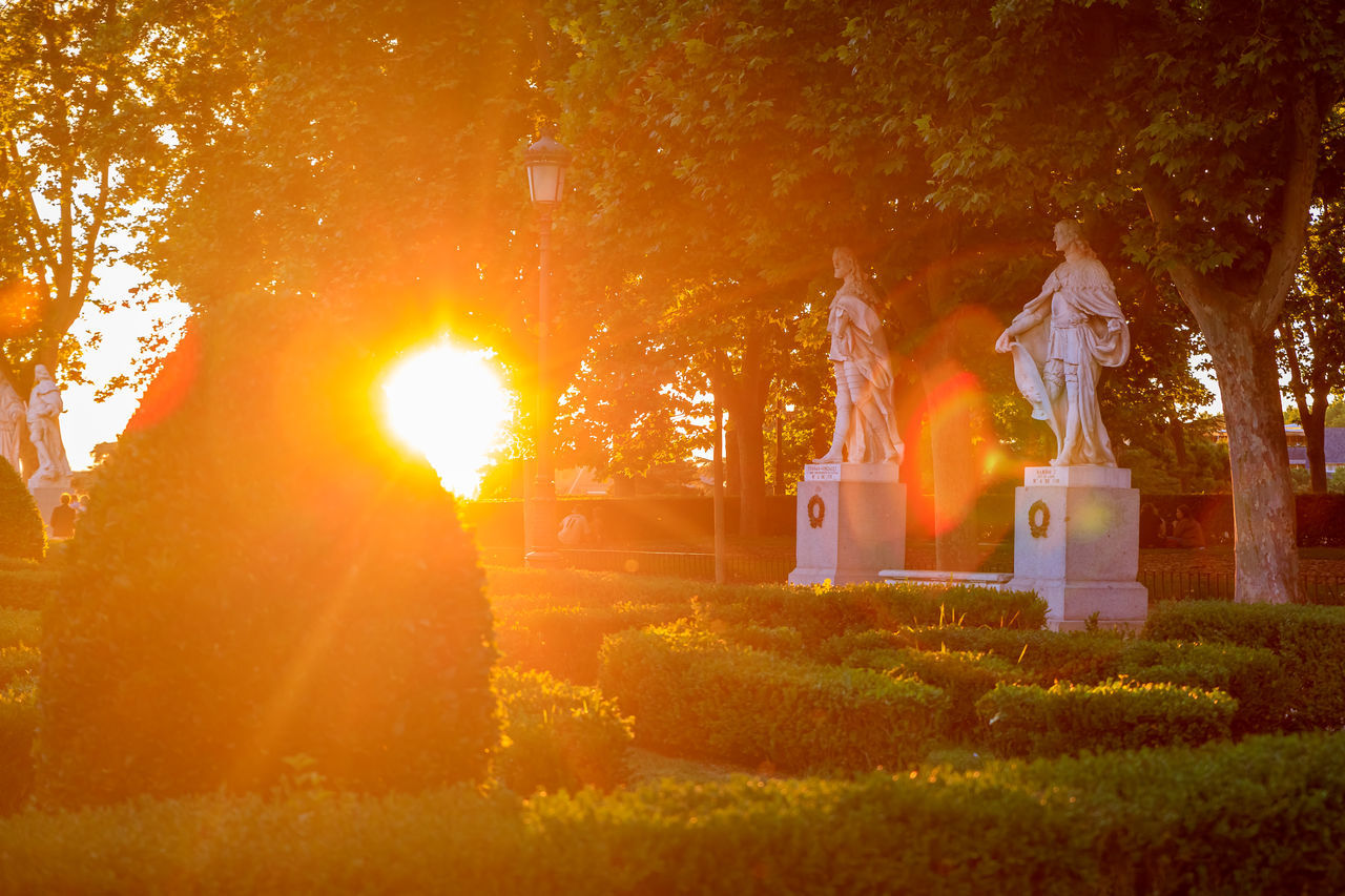 sunlight, plant, tree, nature, light, autumn, yellow, morning, religion, orange color, outdoors, flower, grass, land, bonfire, no people, celebration, belief, sculpture