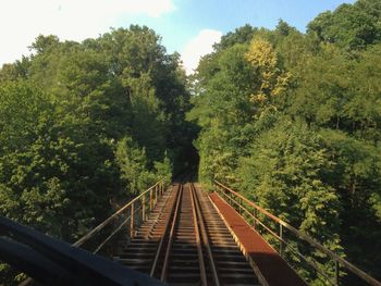 Railroad track amidst trees