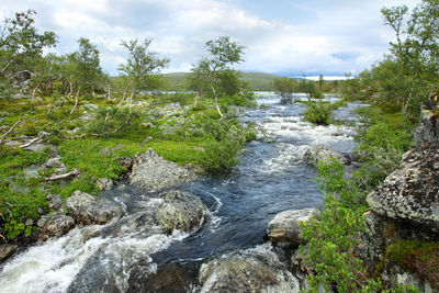 Scenic view of waterfall in forest against sky