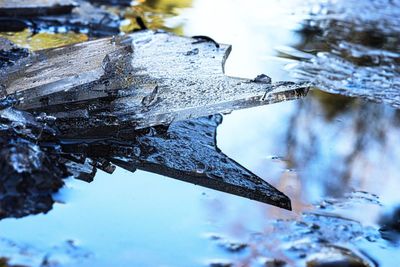 Close-up of icicles on tree during winter