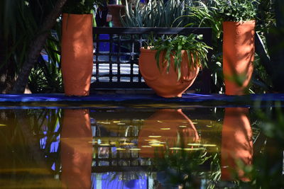 Reflection of trees in swimming pool