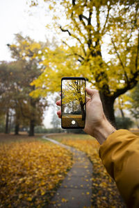 Man photographing through smart phone on tree in autumn