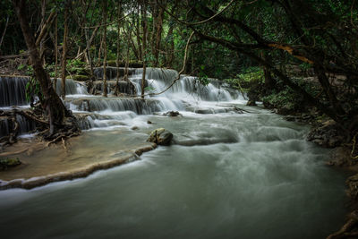 Scenic view of waterfall in forest