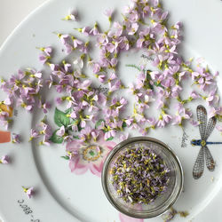 High angle view of flowers in bowl on table