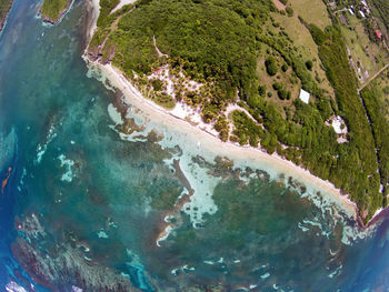 High angle view of sea and trees