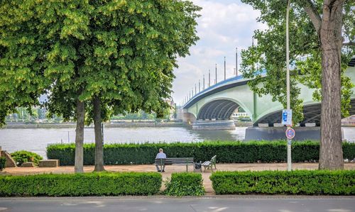 People by bridge against plants and trees against sky