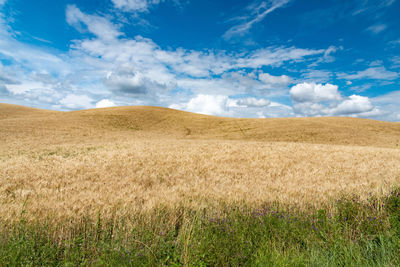 Scenic view of field against sky