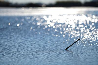 Close-up of water in sea