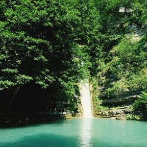 Scenic view of waterfall in forest