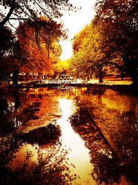 Scenic view of lake in forest during autumn