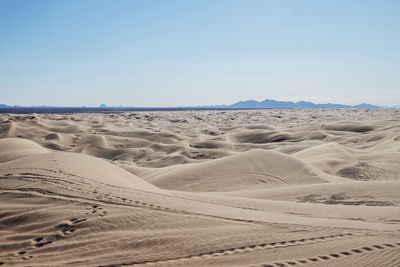 Imperial sand dunes, california stretch to the horizon.