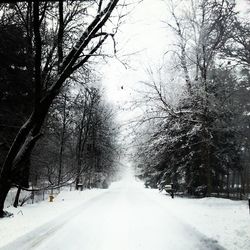 Empty road passing through snow covered trees