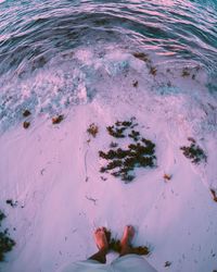 High angle view of people on beach