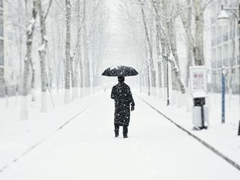 Man walking on snow covered trees