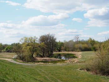 Scenic view of field against sky