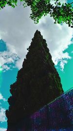 Low angle view of tree against sky