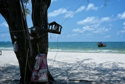 Tree at beach against sky