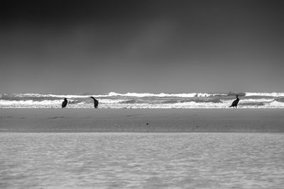 Silhouette man walking on beach against sky