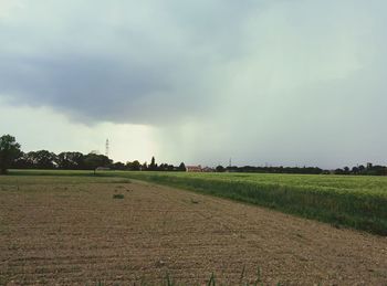 Scenic view of agricultural field against sky