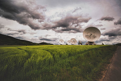 Scenic view of field against sky