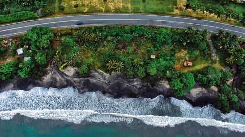 High angle view of plants in water