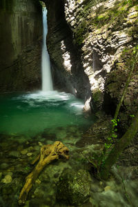 Scenic view of waterfall in forest