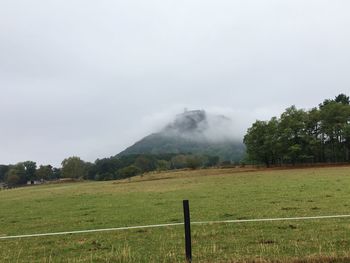 Scenic view of field against sky