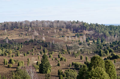 Aerial view of a landscape