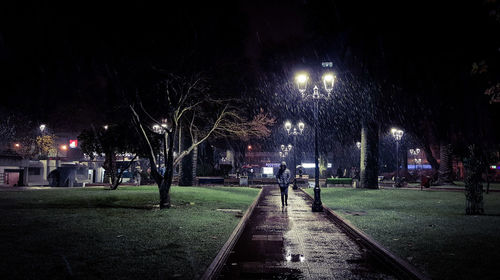 People in illuminated park against sky at night