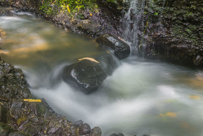 Scenic view of waterfall in forest