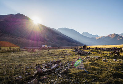 Scenic view of field against bright sun