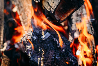 Close-up of bonfire