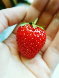 Close-up of hand holding strawberries