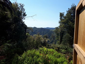 Scenic view of forest against clear sky