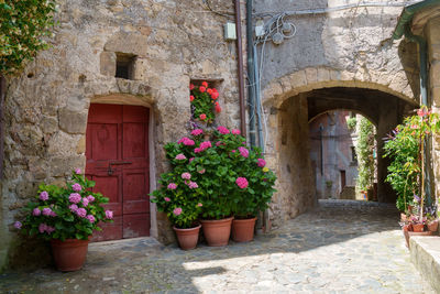 View of old building