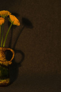 High angle view of yellow flowering plant on wall