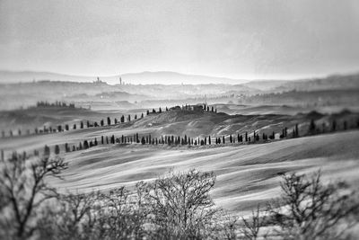 Scenic view of landscape against sky