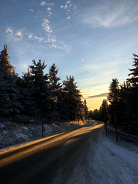 Road amidst trees against sky during winter