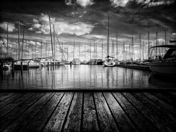 Sailboats moored in marina