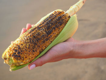 Close-up of hand holding bread