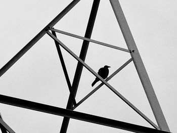 Low angle view of bird perching on metal structure against sky