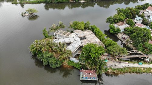 High angle view of plants by lake