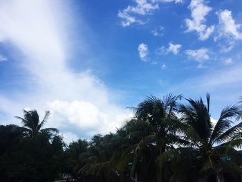 Low angle view of coconut palm trees against blue sky