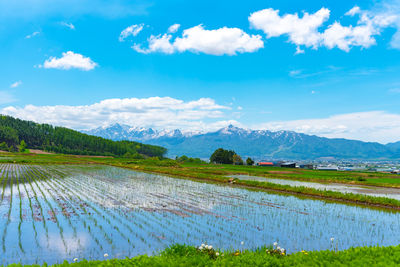 Scenic view of agricultural landscape against sky
