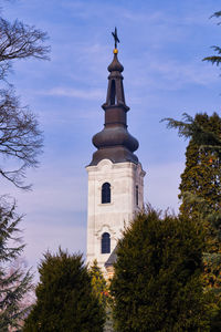 Low angle view of trees and building against sky