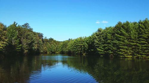 Scenic view of lake against clear blue sky