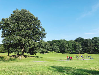 People in park against sky