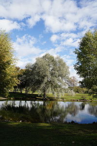 Scenic view of lake by trees against sky