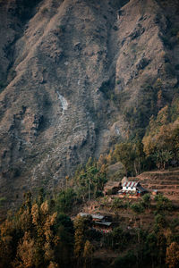 View of trees and houses on mountain
