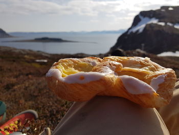 Close-up of dessert in the sea